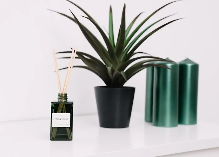 N2 Bright & Comfortable Benicalap Appartamento